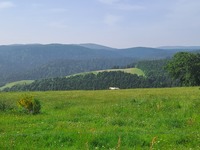 Des randonnées et des promenades autour de Mazan l'Abbaye sont proposés toute l'année